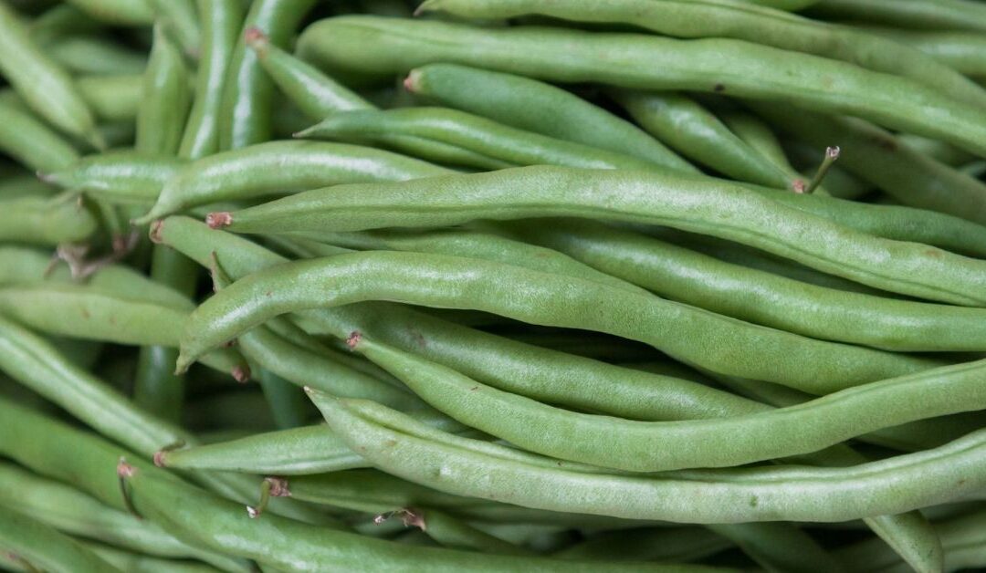 Vegan Green Bean Casserole