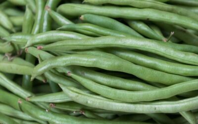 Vegan Green Bean Casserole