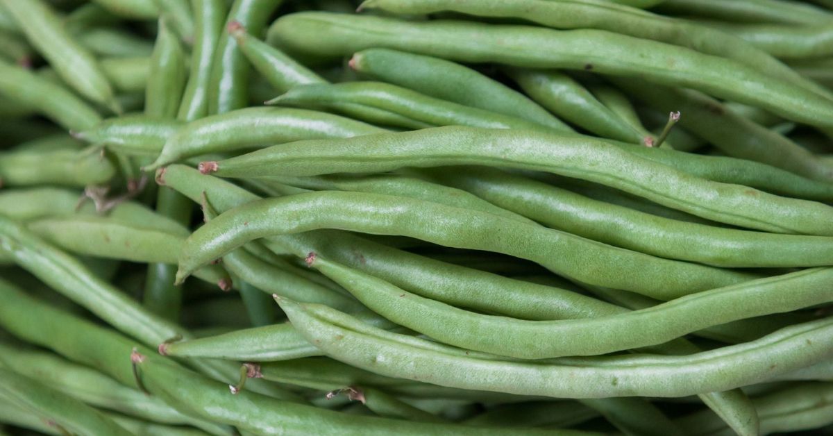 Green beans for casserole