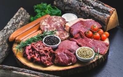 Is the Carnivore Diet Good For Ulcerative Colitis?