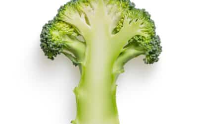 Broccoli: 3 Ways to get the Benefits without the Symptoms