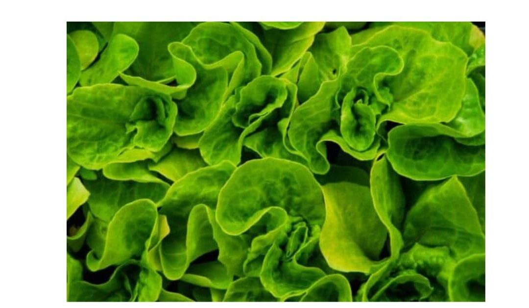 A Deep Dive on Magnesium