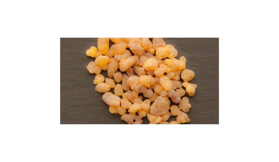 Does Boswellia Decrease IBD Inflammation?