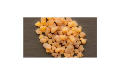 Does Boswellia Decrease IBD Inflammation?