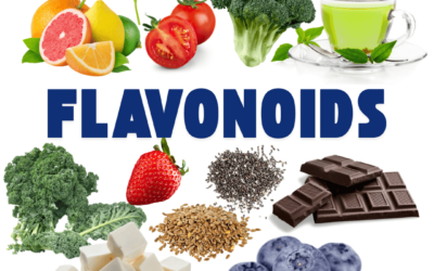 Fuel your Gut: the Flavonoid Fix for IBD