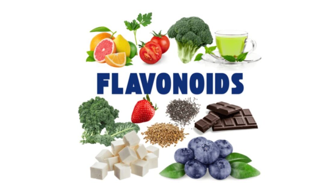 Fuel your Gut: the Flavonoid Fix for IBD