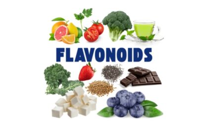 Fuel your Gut: the Flavonoid Fix for IBD