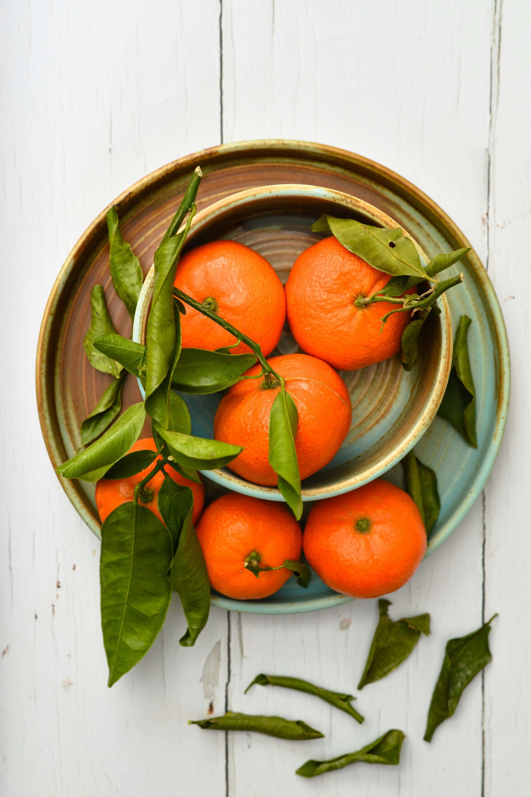 what does a dietitian do
