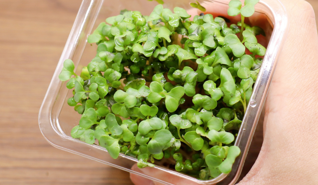 Colon Cancer Prevention: 10 Evidence-Based Tips