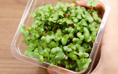 Colon Cancer Prevention: 10 Evidence-Based Tips