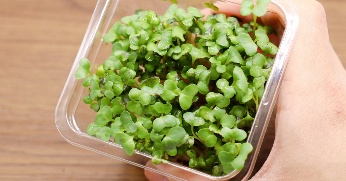 Colon cancer prevention colon cancer prevention